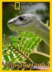 Черная мамба (2014)