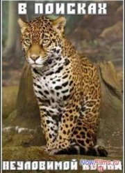 В поисках неуловимой кошки (2011)