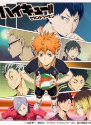 Волейбол!! (2 сезон) (2015)