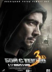 Бой с тенью 3D: Последний раунд (2011)