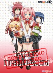 Тайна принцессы (2014)