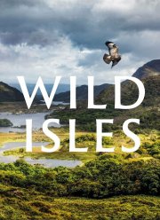 ����� ������� (2023)