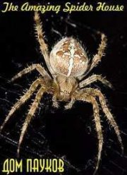 Дом пауков (2015)