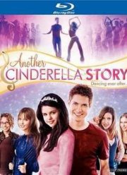 Еще одна история о Золушке (2008)