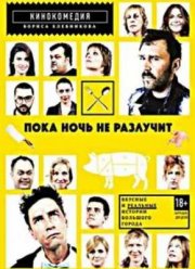 Пока ночь не разлучит (2012)