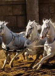 ���������� �� ���������� ����� ����-���, � � ������ �� - �����