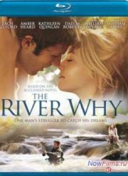 ����-������ (2010)