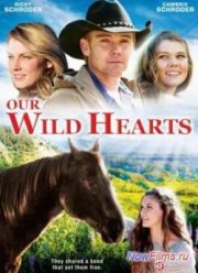 ����� ������ (2013)