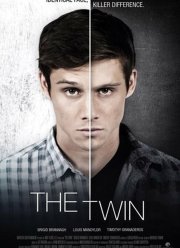 Близнец (2017)