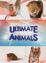 Увлекательная зоология (2015)