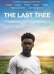 Последнее дерево (2019)