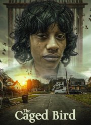 ������ � ������ (2024)