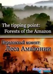 Переломный момент: Леса Амазонии (2014)