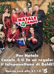 ���� ����� ��� ����� (2012)