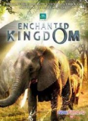 Зачарованное Королевство (2013)