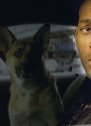 �� � ������� 2� � ������ ������ � ������� �. ��������� ������� ���������