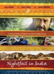 Полночь в Индии (2014)