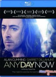 Сейчас или никогда (2012)