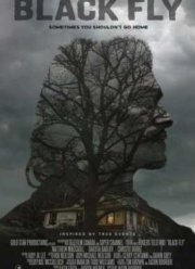 Черные птицы (2014)