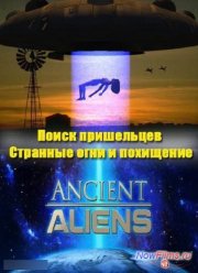 Поиск пришельцев. Странные огни и похищение (2014)