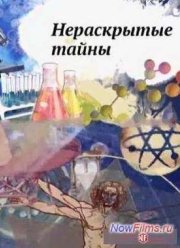 Нераскрытые тайны. Как древние приматы эволюционировали в людей (2014)