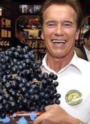 ������������ �� ������������ ��������������