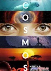 Космос: Пространство и время (1 Сезон) (2014)