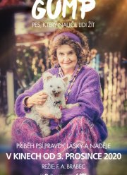 ���� � ��, ������� ������ ����� ���� (2021)