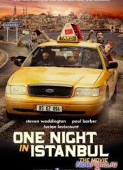 Одна ночь в Стамбуле (2014)