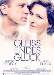 Легкое сияние счастья (2016)