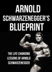 План Арнольда (2015)