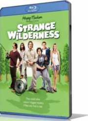 Снежный человек (2008)