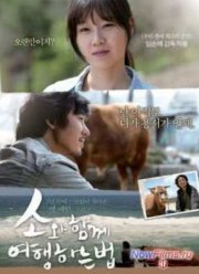 Как путешествовать с быком / Путешествие с быком (2010)