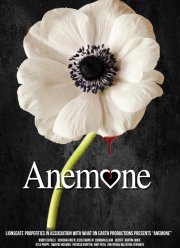 Ветреница (2024)