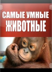 Самые умные животные (2012)