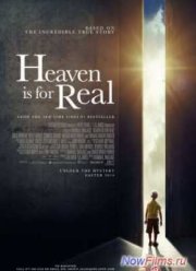 Рай существует / Небеса реальны (2014)