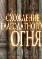Схождение Благодатного огня (2016)
