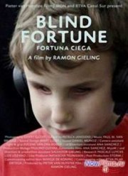 Слепая удача (2012)