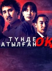 Выстрел ночью (2023)