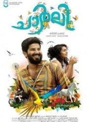 Чарли / В погоне за тенью (2015)