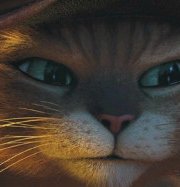 ��������� ���� ������ ����������� ����� � ��������