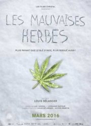 Плохие семена (2016)