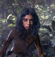 Netflix ����� ������� ���� �������