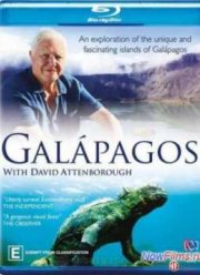 Галапагосы с Дэвидом Аттенборо (2013) Все Серии