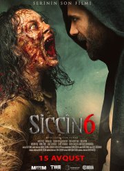 Сиджин 6 (2019)