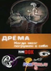 Дрёма. Когда мозг погружен в себя (2012)