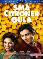 Любовь и лимоны (2013)