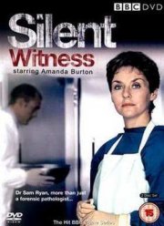 Безмолвный свидетель (1-28 Сезон)