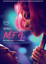 Магистр изящных искусств (2017)