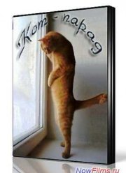 ���-����� (2013)